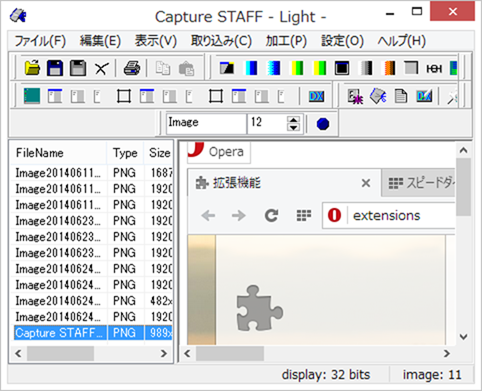 Capture STAFF - Light -