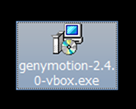 Genymotionファイル